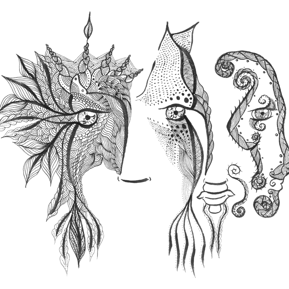 Waves of understanding